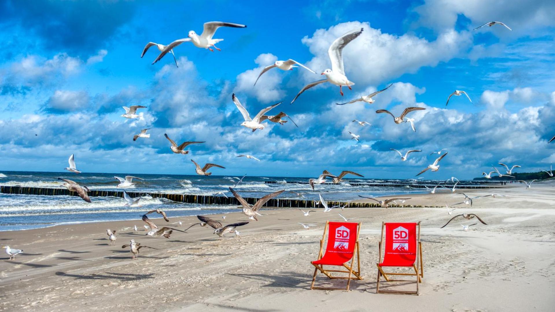 Rezydencja Niechorze 314 Z Widokiem Na Morze - 5D Apartamenty Екстер'єр фото